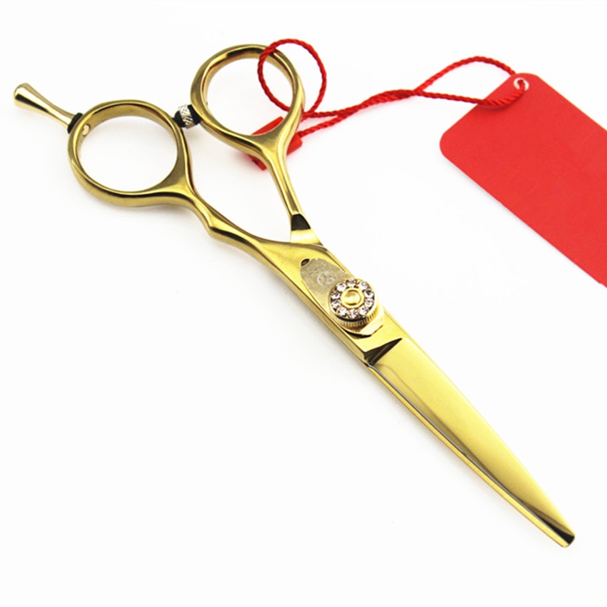 Ciseaux De Coiffure Pro Allemagne Dore Coiffer Cheveux Livraison Gratuite