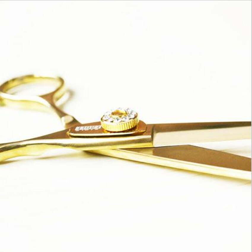 Ciseaux De Coiffure Pro Allemagne Dore Coiffer Cheveux Livraison Gratuite